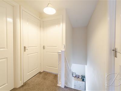 Picture 15
